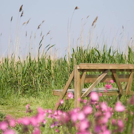 De Tijnjehoeve Boornzwaag over de Wielen Exterior foto