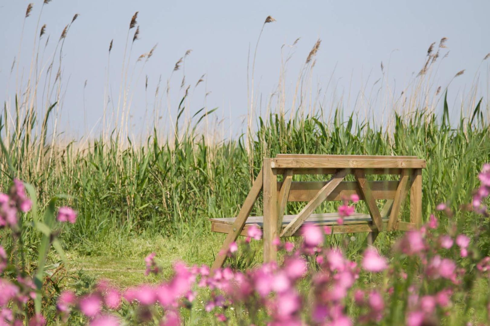 De Tijnjehoeve Boornzwaag over de Wielen Exterior foto